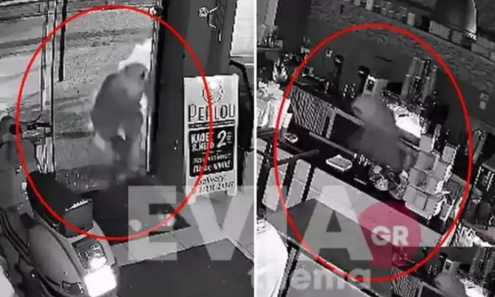 Χαλκίδα: Καρέ καρέ η διάρρηξη σε κατάστημα καφέ (βίντεο)